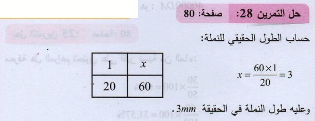 حل تمرين 28 ص 80 رياضيات 2 متوسط